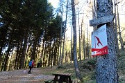15 Al parcheggio (solo giorni consentiti) del Percorso Vita